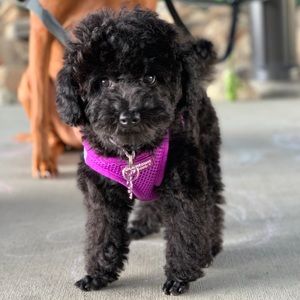 Meet your Posher, Katherine